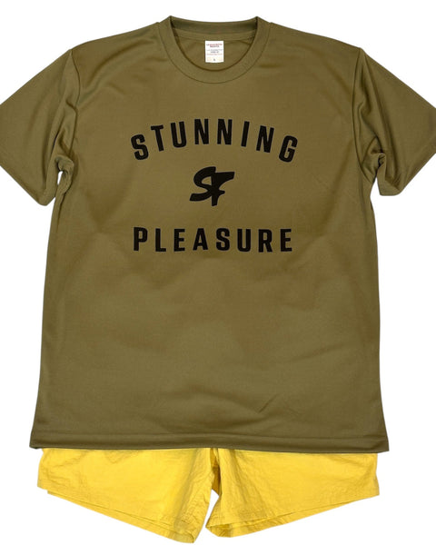 Stunning Foil オリジナルSURF Tee (水陸両用)"pleasure"