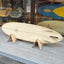Used Campbell Brothers 7'0" Speed Egg B3