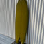 Used Mandala Custom Shapes 5'6" Deep Arc-tail Swallow Twin